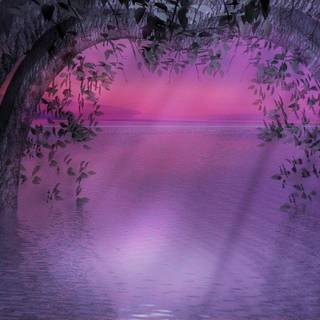 Purple wallpaper background