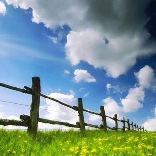 Springtime images free