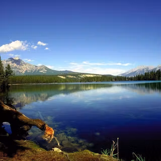 Popular desktop backgrounds