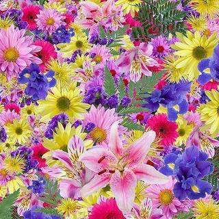 Bright flower wallpaper