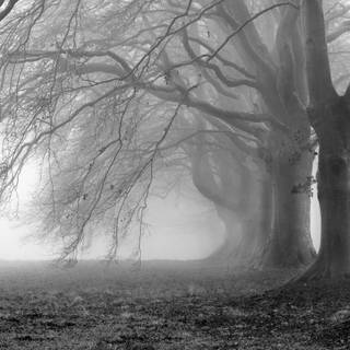 Black and white desktop backgrounds