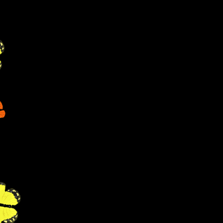 Cute butterfly wallpaper