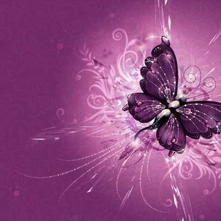 Pretty purple wallpaper