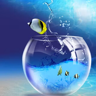 Screensaver backgrounds