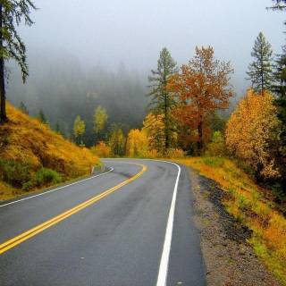 Latest nature wallpaper