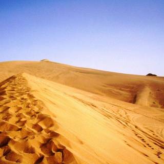 Desert background pictures