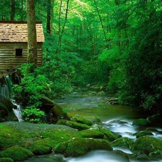 Download HD wallpaper free