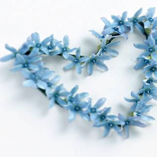 Free love desktop wallpaper