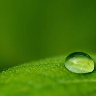 Background images nature