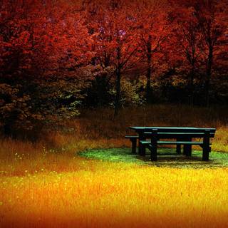 Free autumn backgrounds