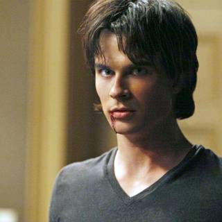 Damon salvatore wallpaper