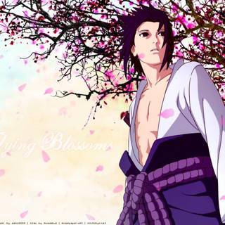 Naruto Shippuden backgrounds