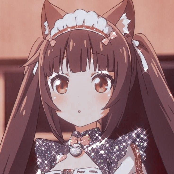 Aesthetic Chocola Nekopara Icon Wallpaper Cave