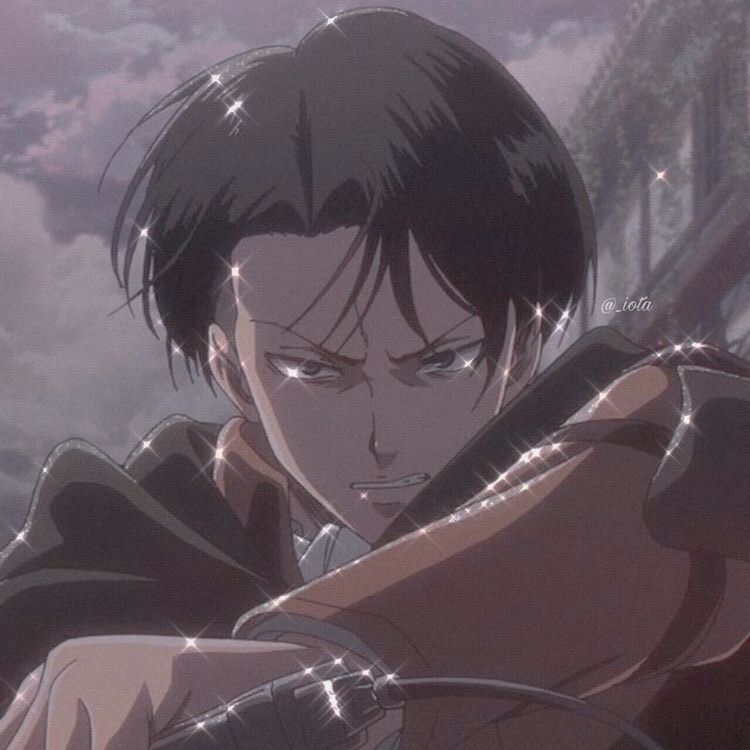 Levi Ackerman Aot Icon Wallpaper Cave