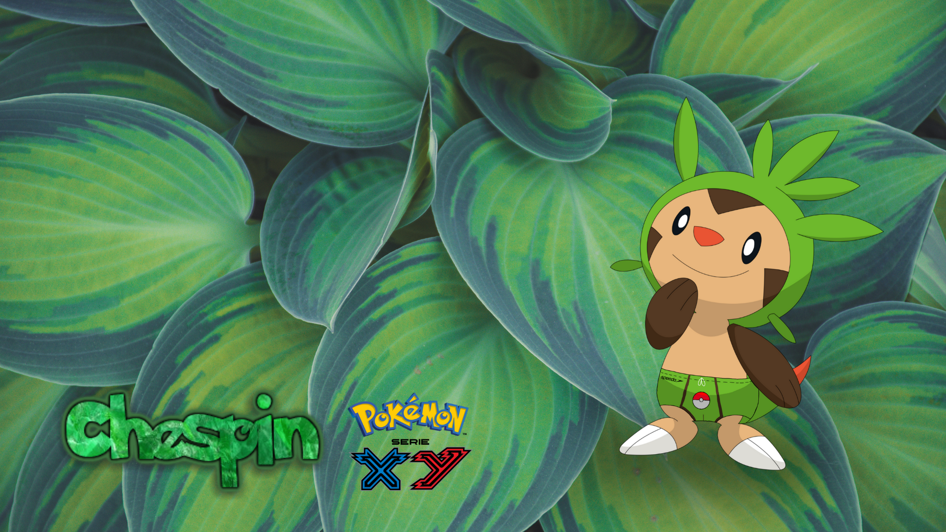 pokemon chespin wallpaper