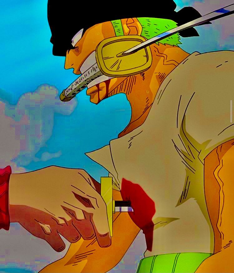 zoro vs mihawk