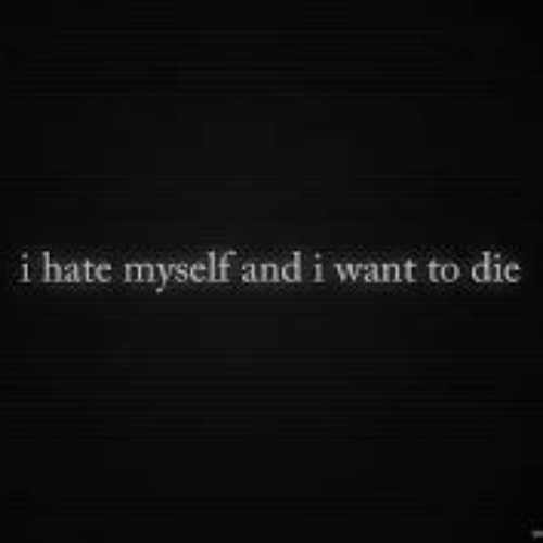 life is boring Wallpaper Cave