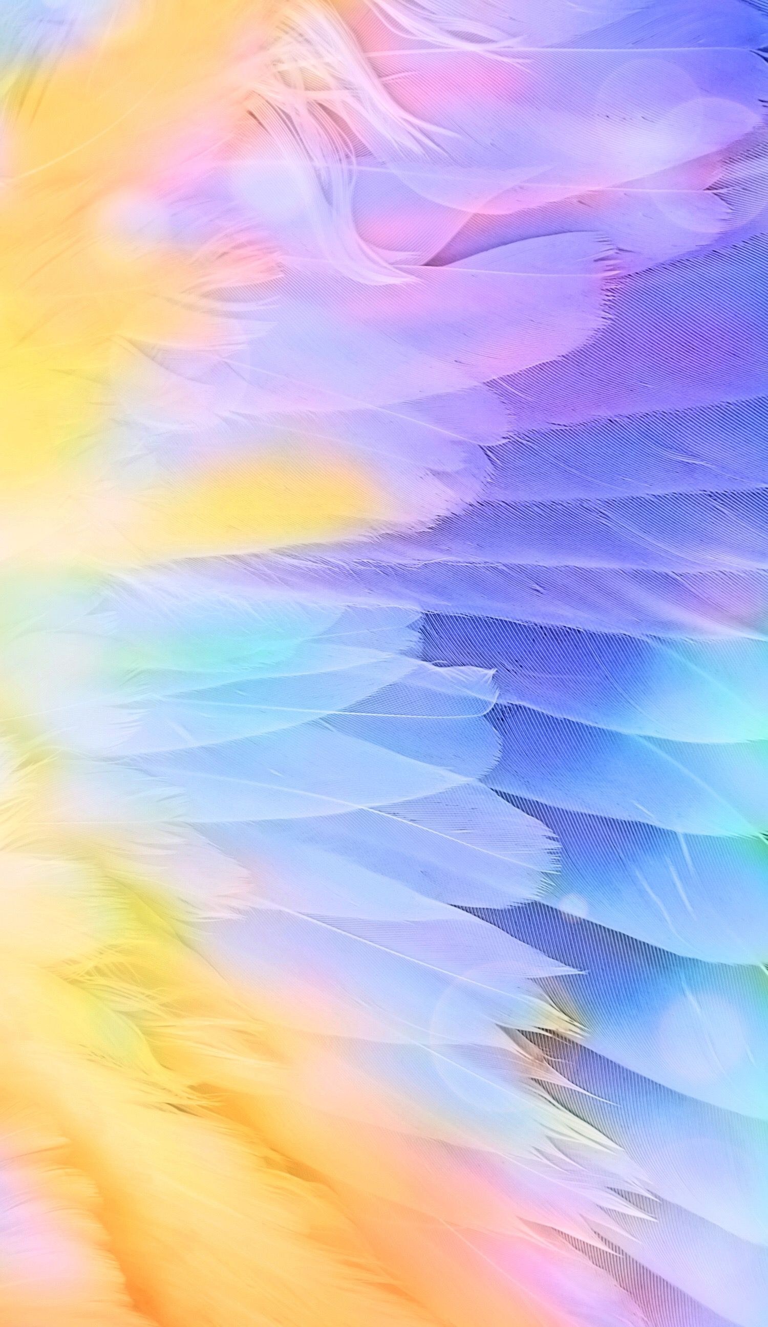 Pastel Rainbow Feathers aesthetic - Wallpaper Cave