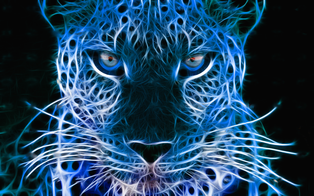 awesome colorful animal backgrounds