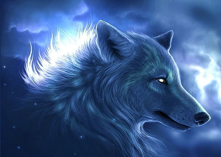 cool wolf - Wallpaper Cave