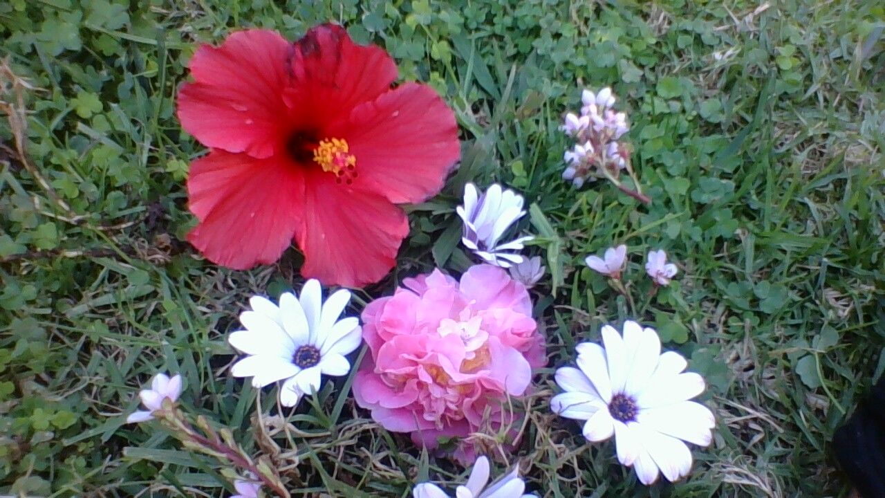 i using different camera and i can see... it very bad Wallpaper Cave