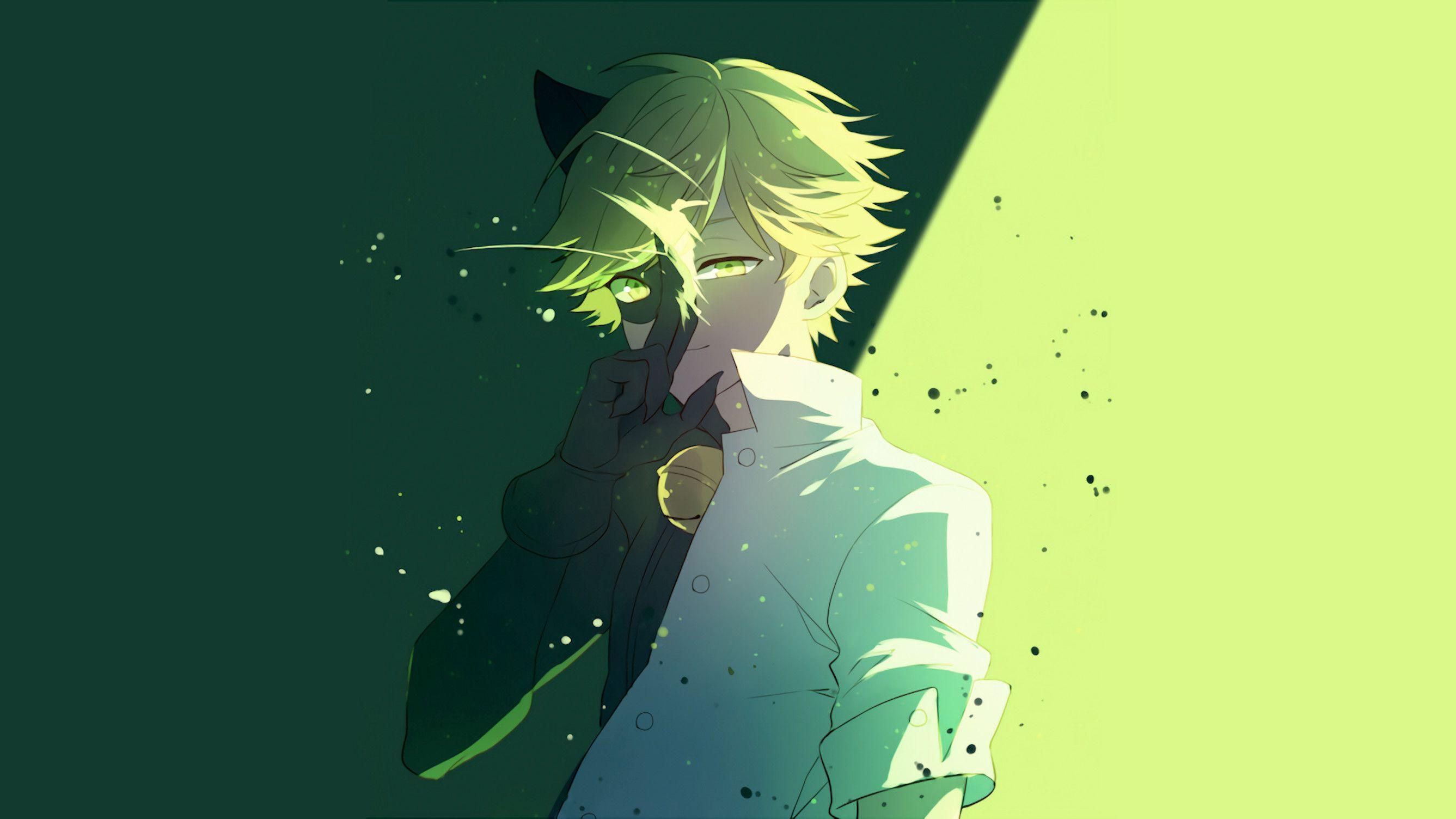 Cat noir - Wallpaper Cave