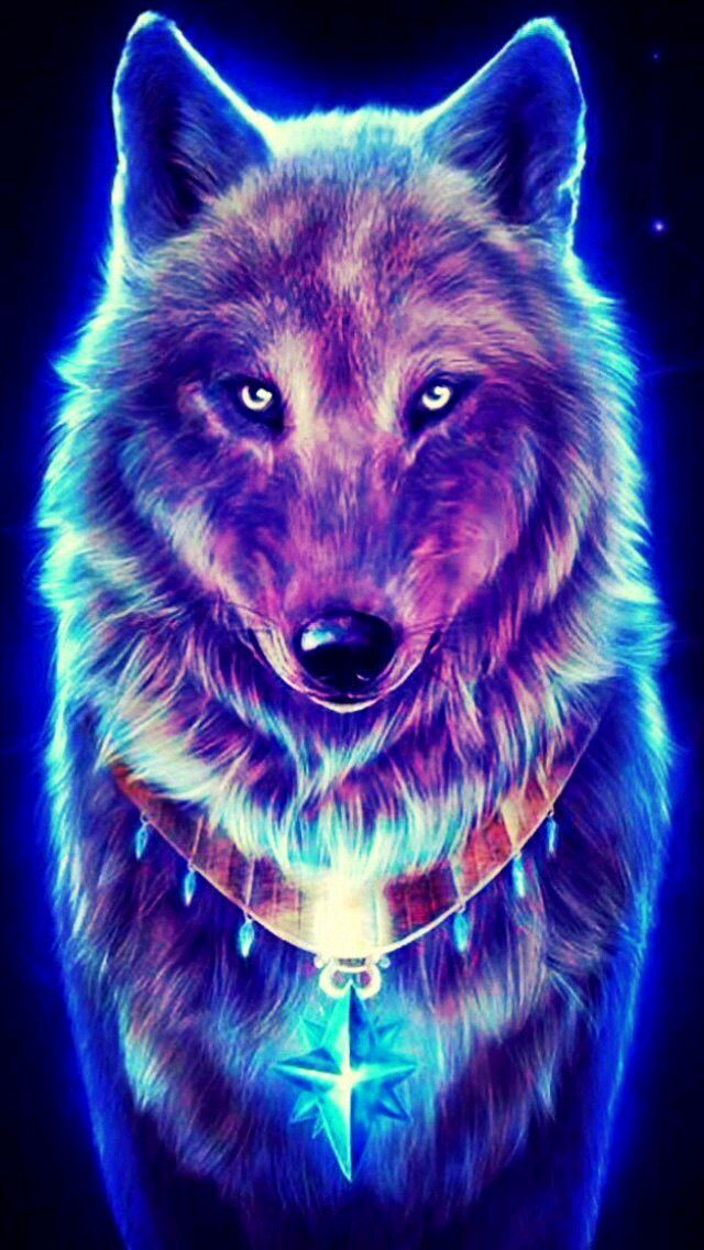 lobo animal wallpaper