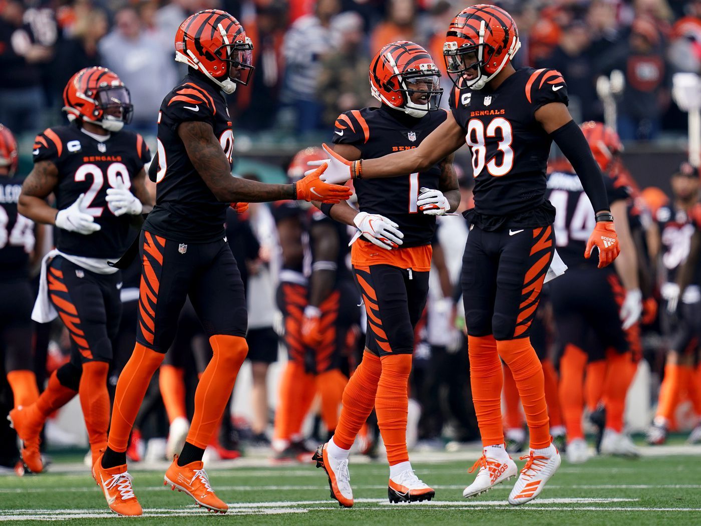 Bengals - Wallpaper Cave