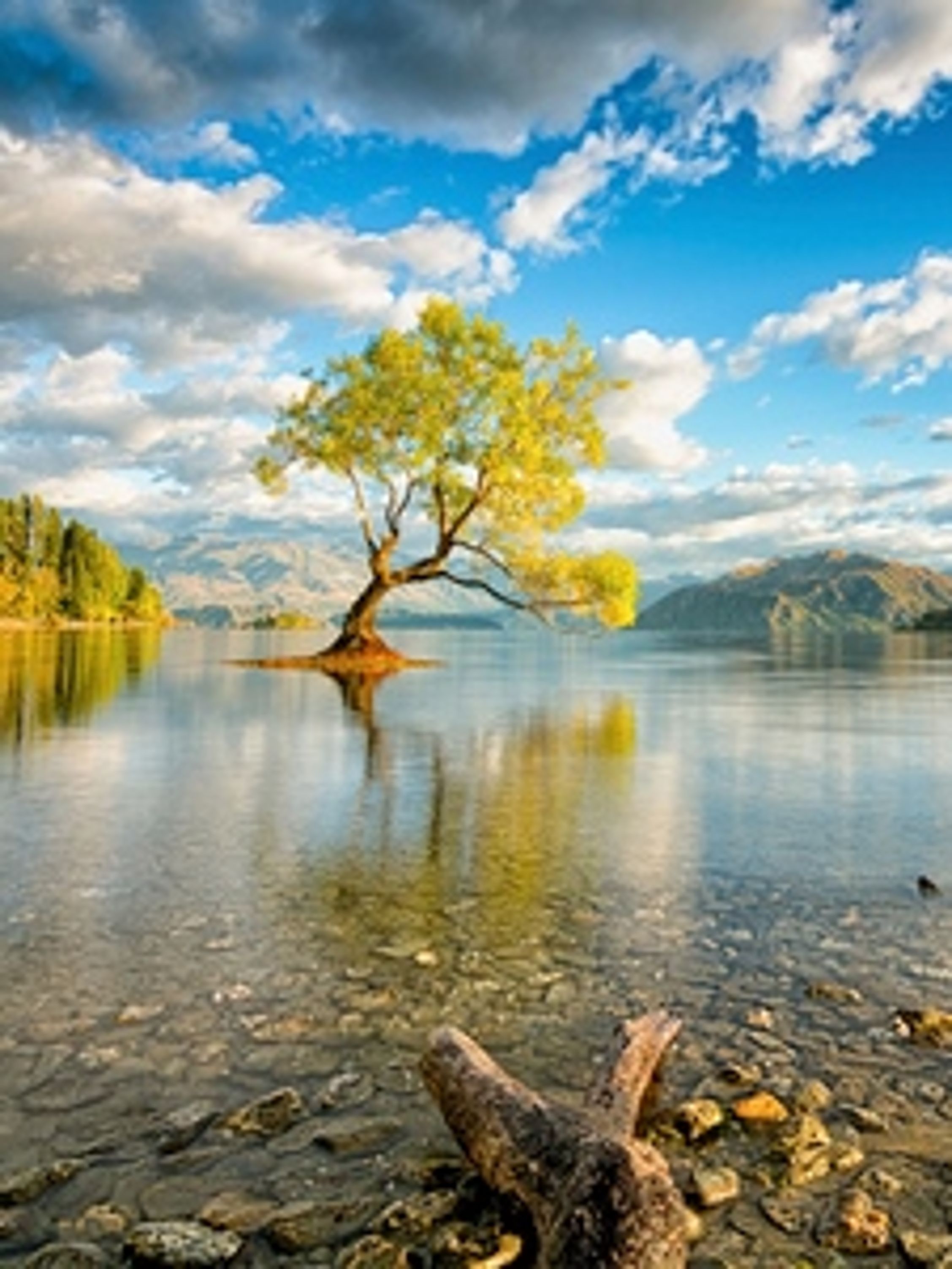 Download this awesome wallpaper - Wallpaper Cave