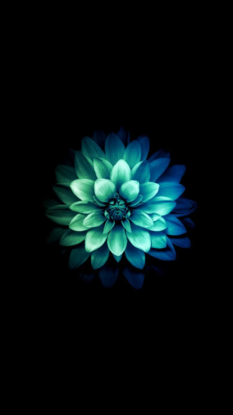 Green and Blue flower - Wallpaper Cave