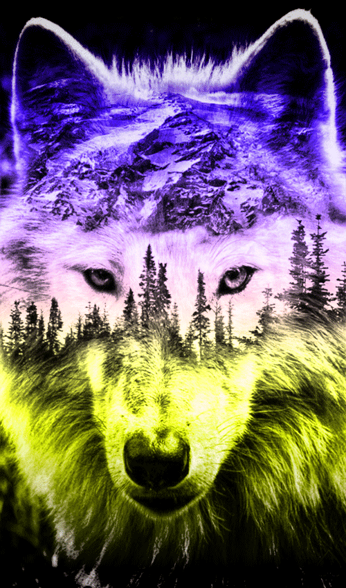 Wolf GIF on GIFER  by Gozil