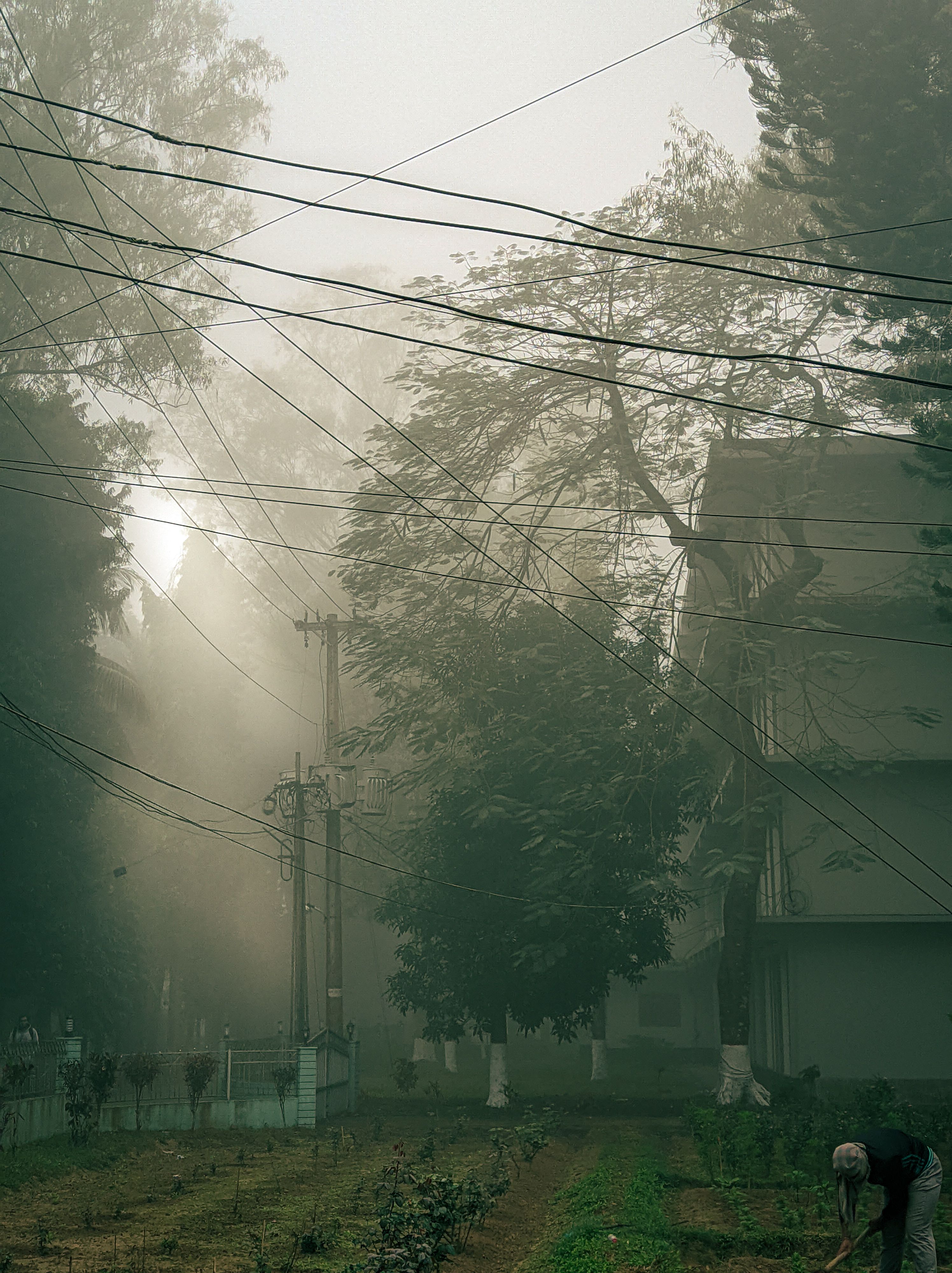 Foggy Morning - Wallpaper Cave