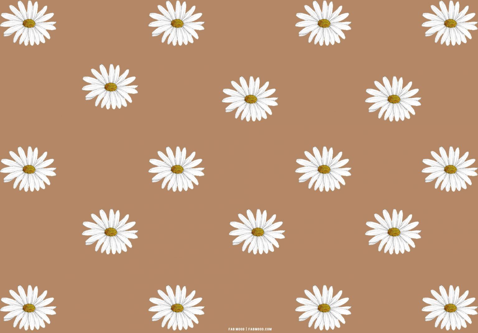Brown flowers - Wallpaper Cave