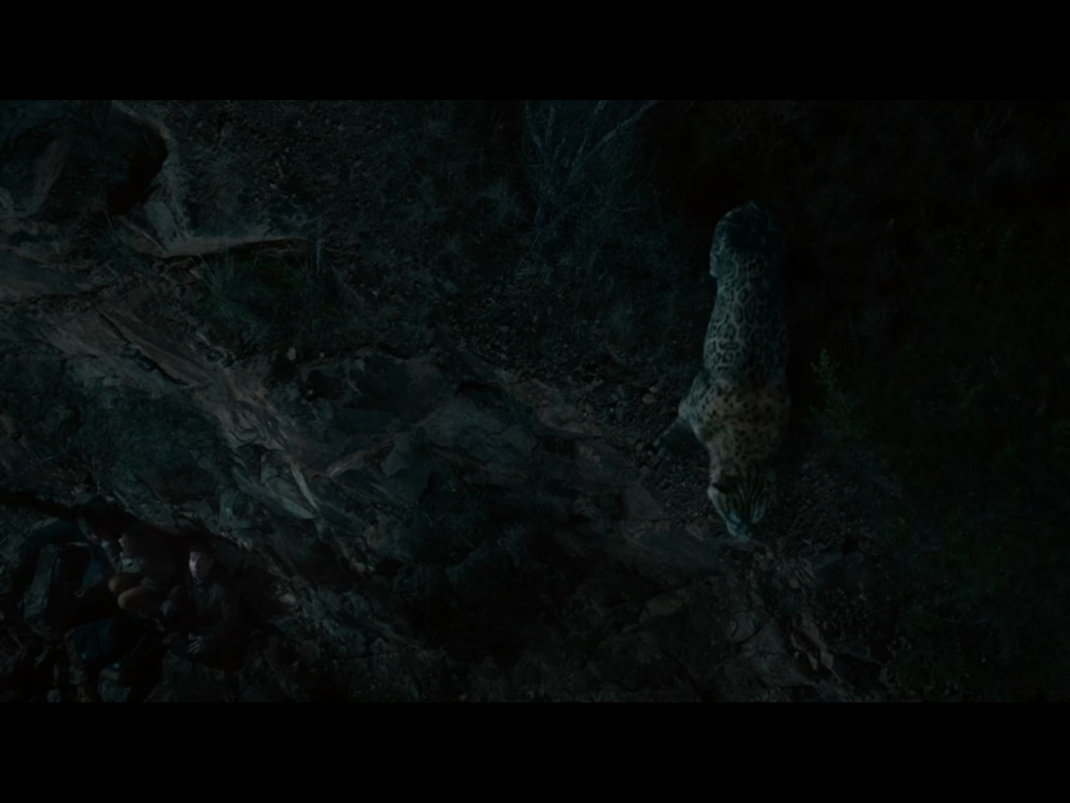 unlock the secret power behind this wallpaper cave tonight