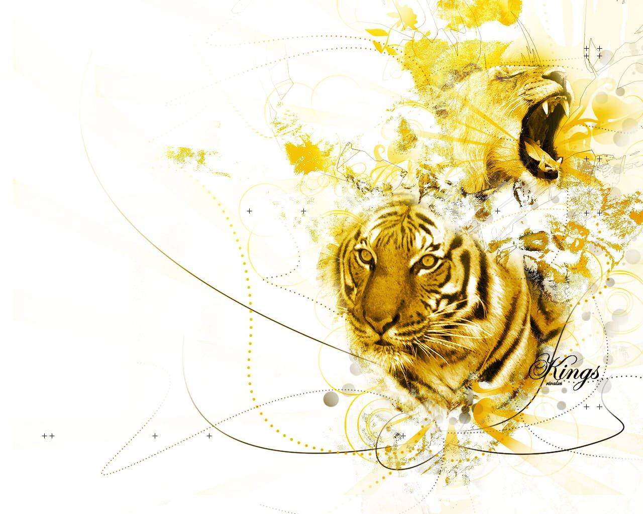 yellow lion - Wallpaper Cave