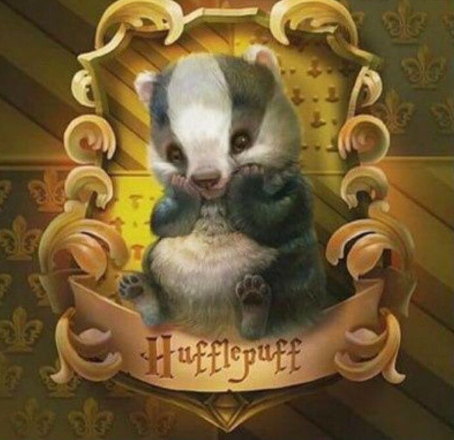 hufflepuff badger