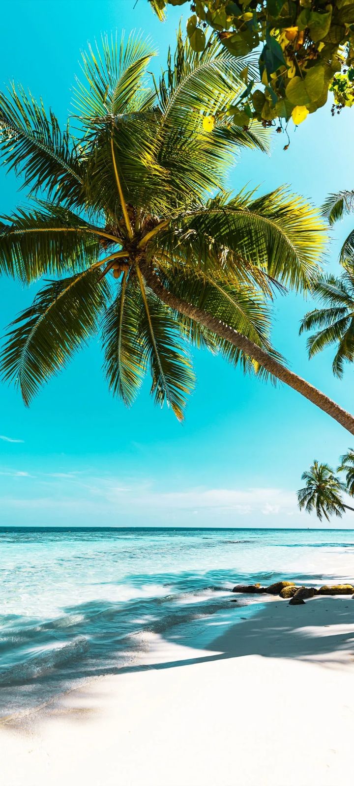 Download this awesome wallpaper - Wallpaper Cave