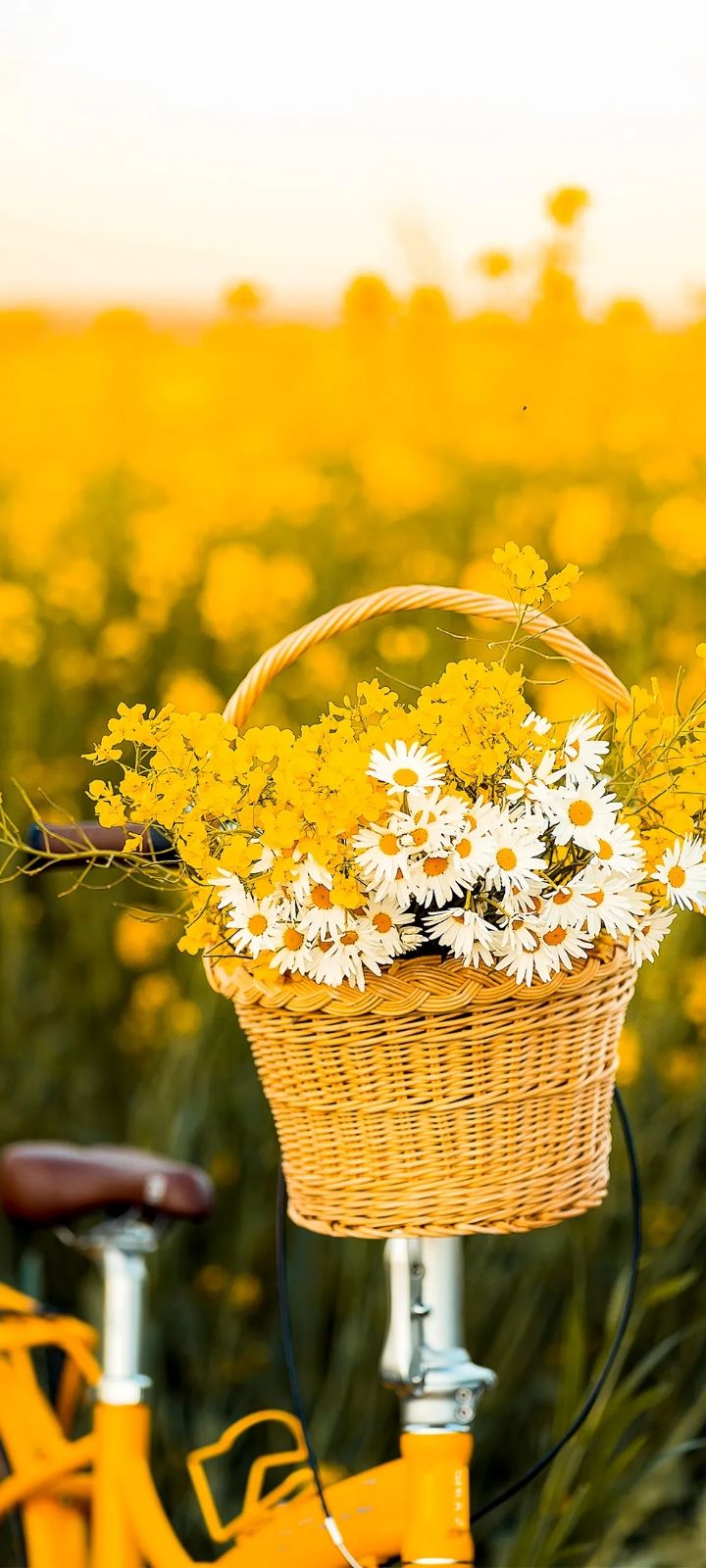 Download this awesome wallpaper - Wallpaper Cave