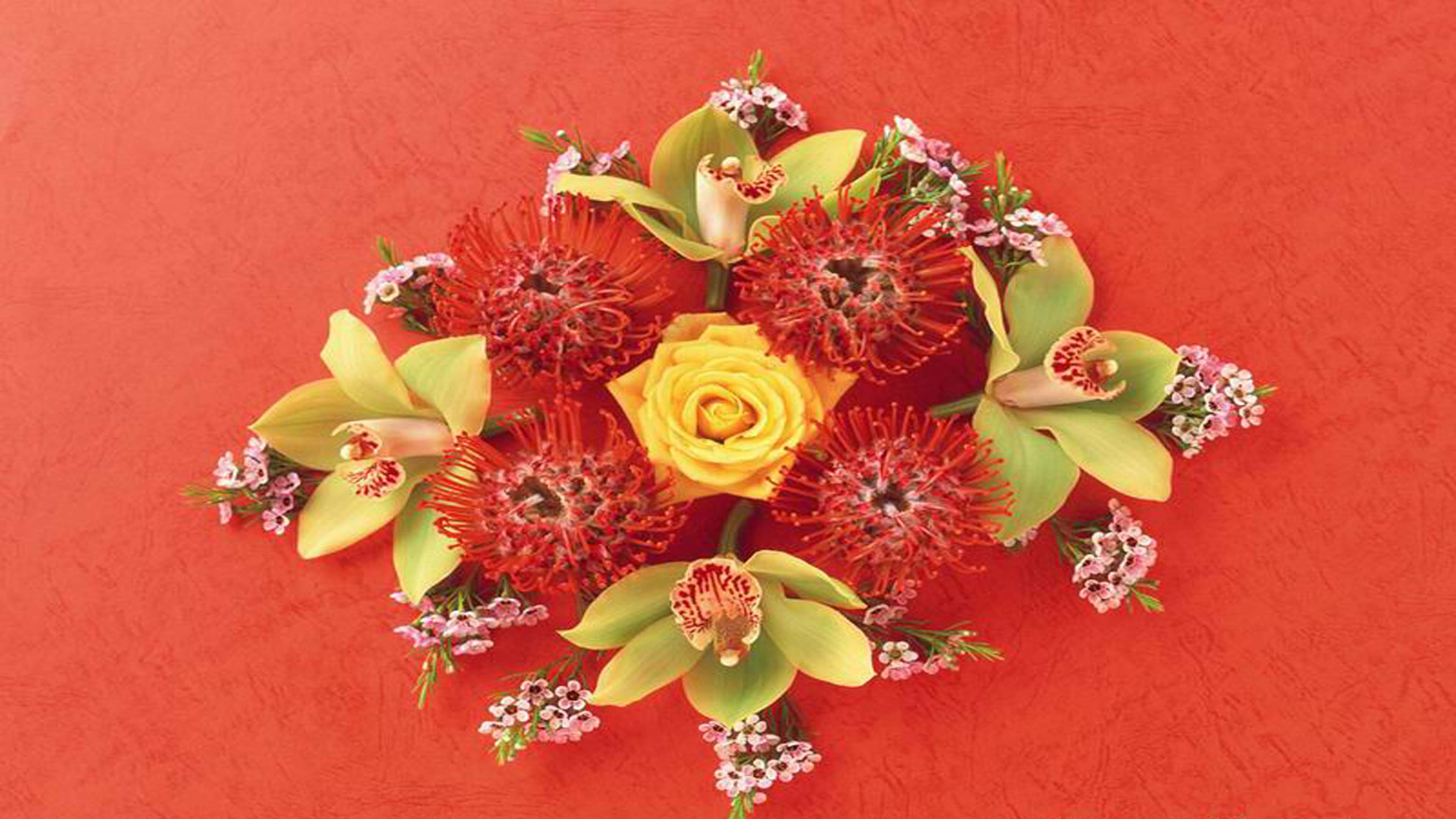 bunga - Wallpaper Cave