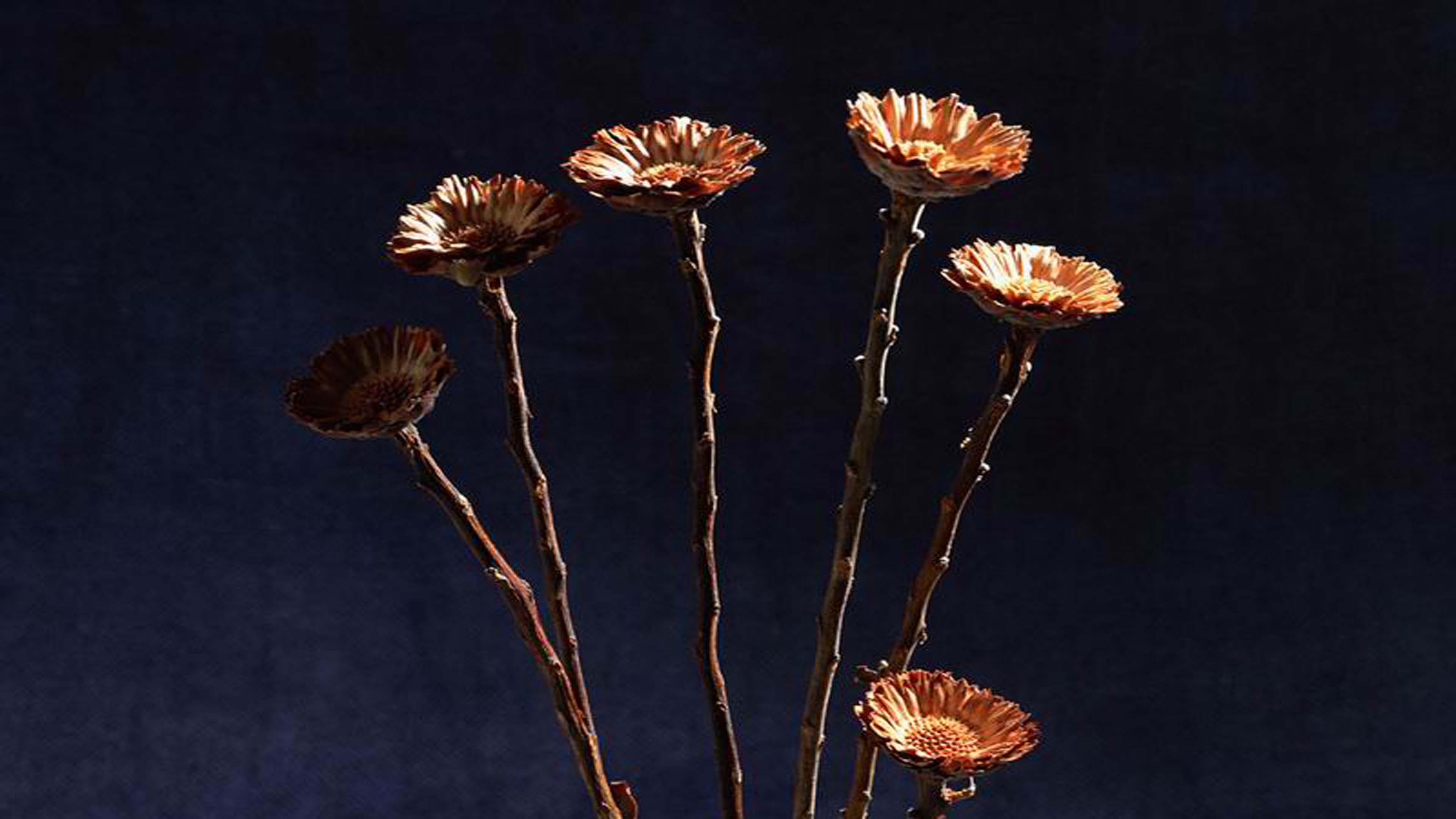 bunga - Wallpaper Cave