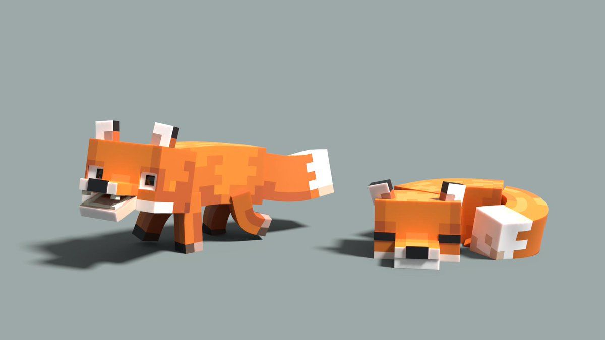 the 2 fox types - Wallpaper Cave