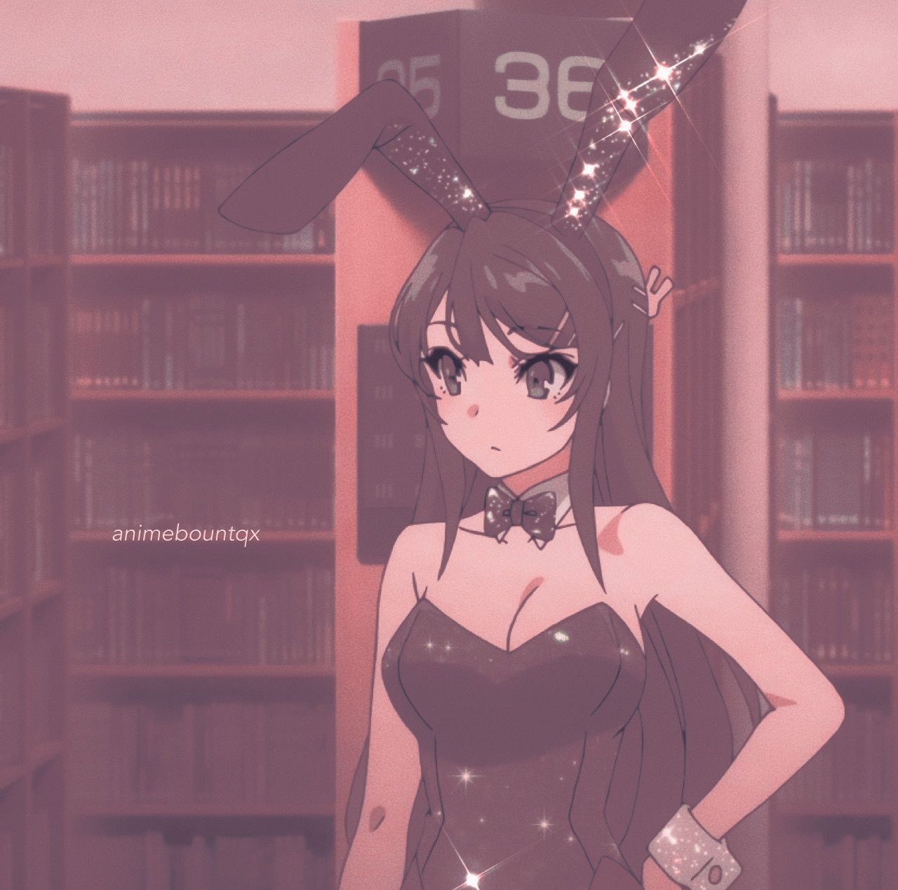 Mai Sakurajima Aesthetic Wallpaper Cave