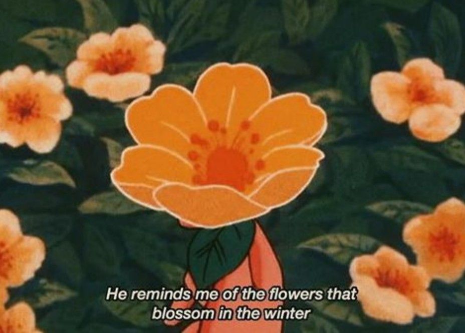 Aesthetic Orange Anime Wallpaper Cave