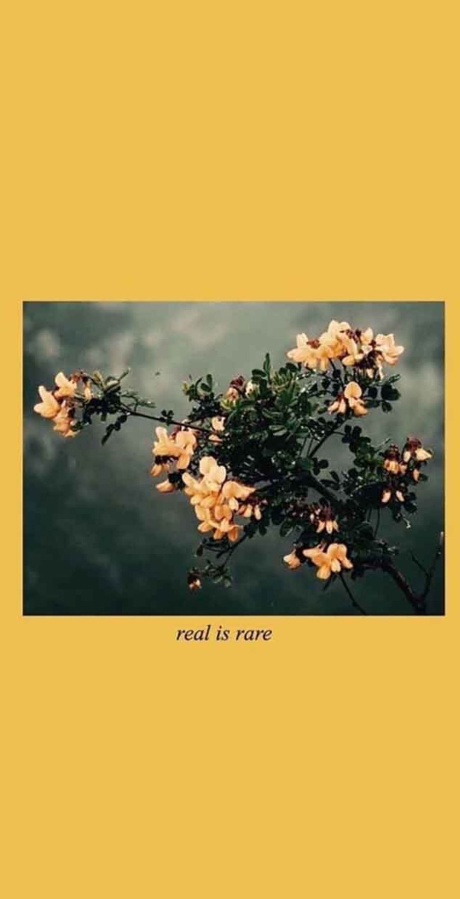 Yellow aesthetics Wallpaper Cave