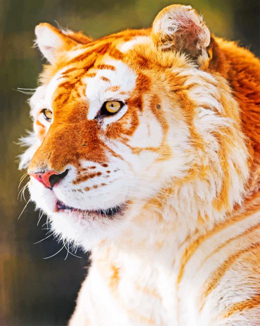 Golden Tiger Wallpaper