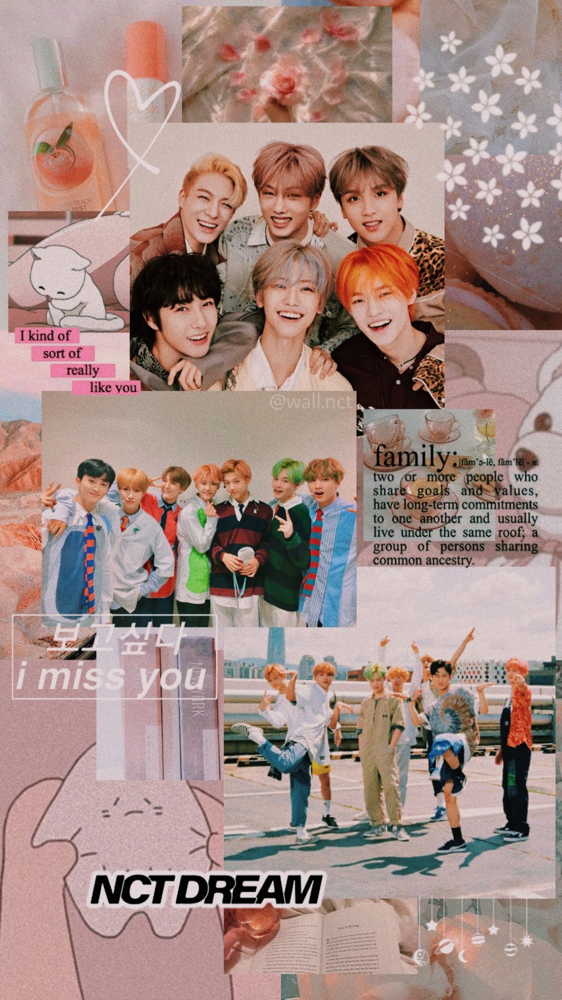 25+ Wallpaper Aesthetic Nct Dream Download