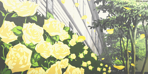 Aesthetic Yellow Rose Gif - Wallpaper Cave