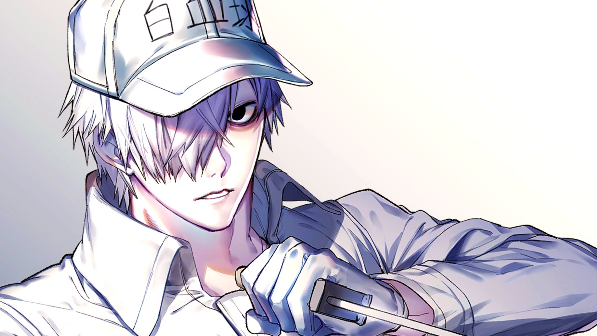 White Blood Cell Cells At Work Wallpaper Cave