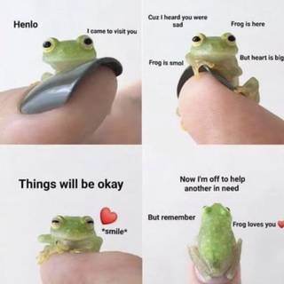 Frog is smol but helpful