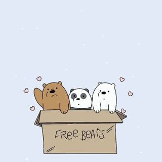 FREE BEARS (We bare bears)